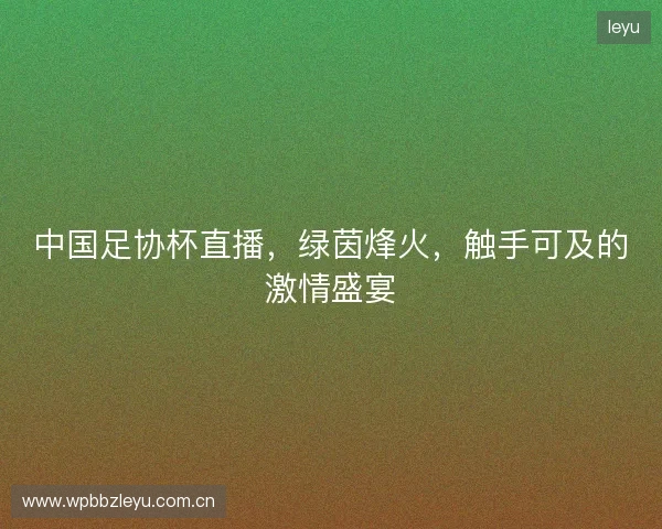 中国足协杯直播，绿茵烽火，触手可及的激情盛宴