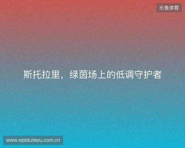 斯托拉里,绿茵场上的低调守护者 斯托拉里,绿茵场上的低调守护者